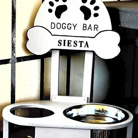 Siesta 3* Lido di Camaiore