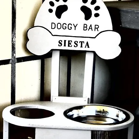 Siesta